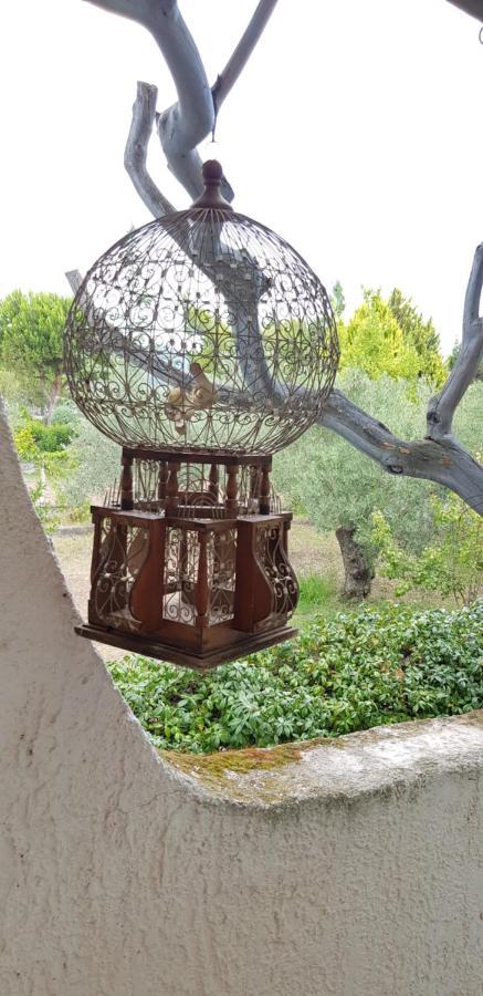 Country House By The Sea !!! Villa Karavomilos  Bagian luar foto